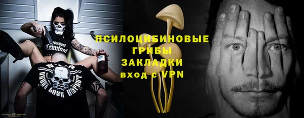 марки nbome Бородино