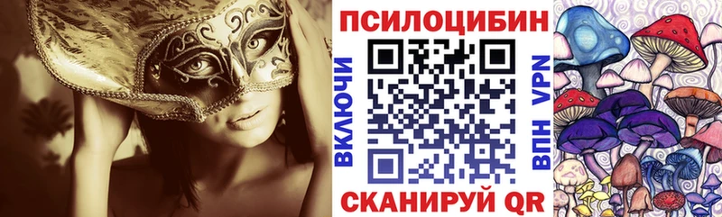 ссылка на мегу сайт Козельск Галлюциногенные грибы ЛСД цена наркотик